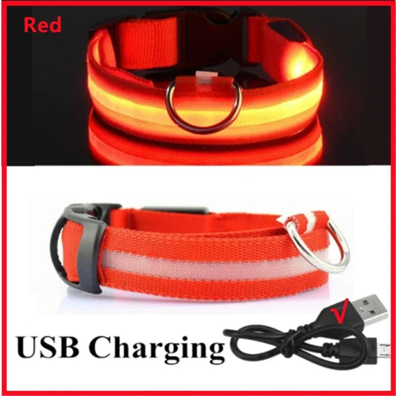 Rechargeable LED Dog Collar, 3 Light Modes, USB Charging