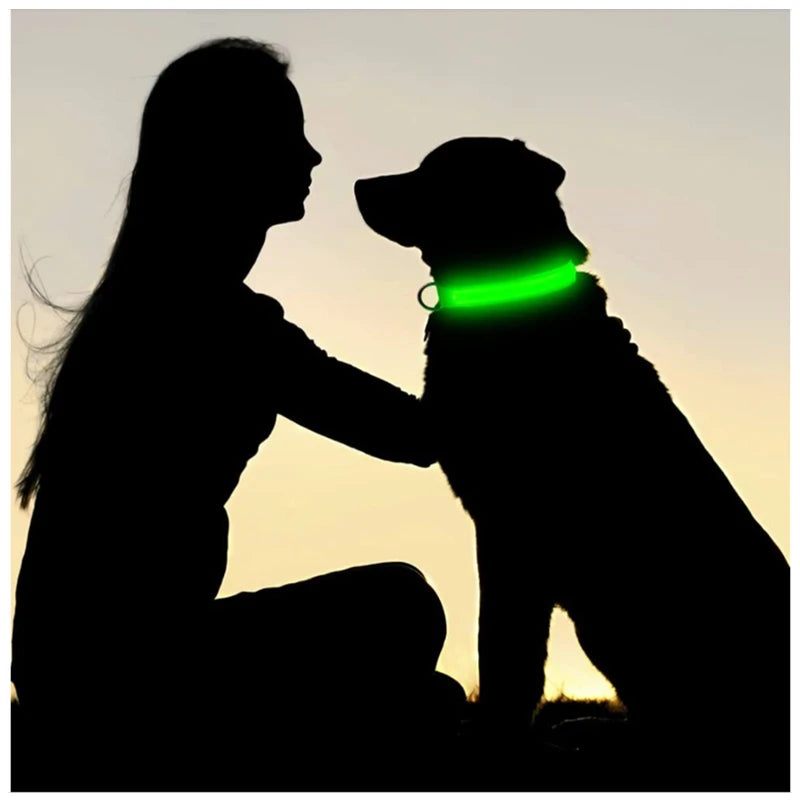 Rechargeable LED Dog Collar, 3 Light Modes, USB Charging