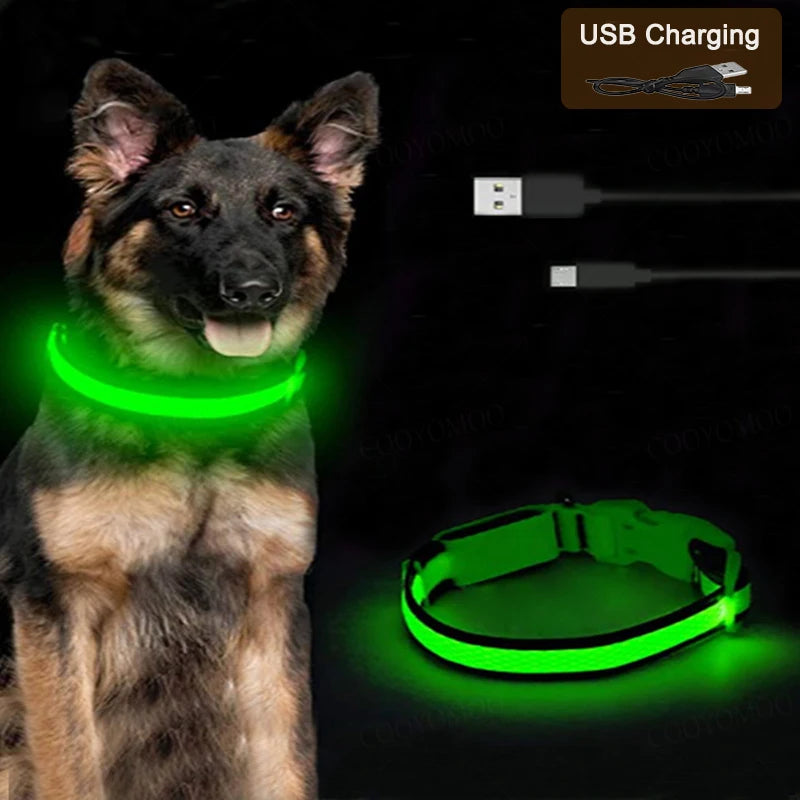 Rechargeable LED Dog Collar, 3 Light Modes, USB Charging