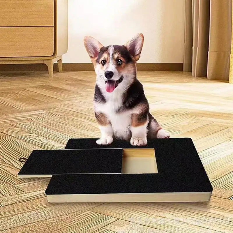 Dog Nail Scratch Board with Treat Drawer