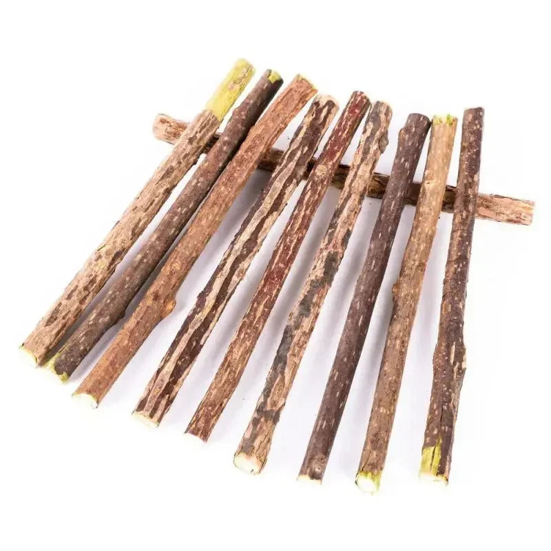 Natural Silvervine Sticks for Cats - Dental Chew & Catnip Teaser