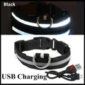Rechargeable LED Dog Collar, 3 Light Modes, USB Charging