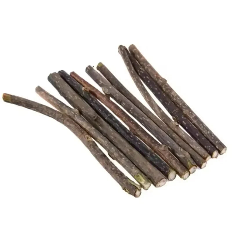 Natural Silvervine Sticks for Cats - Dental Chew & Catnip Teaser