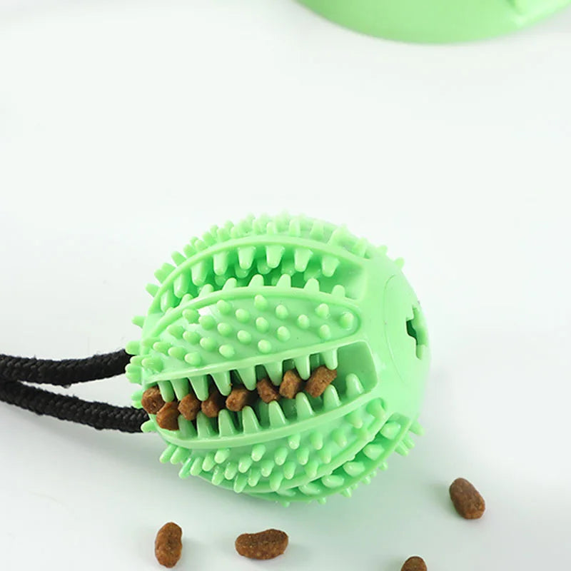 Suction Cup Dog Tug Toy with Treat Dispenser & Squeaker