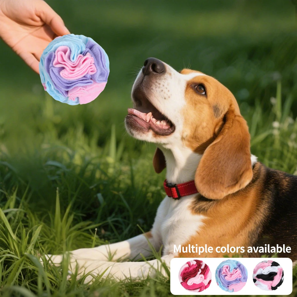 Dog Snuffle Ball, Interactive Foraging Puzzle Toy (Small)