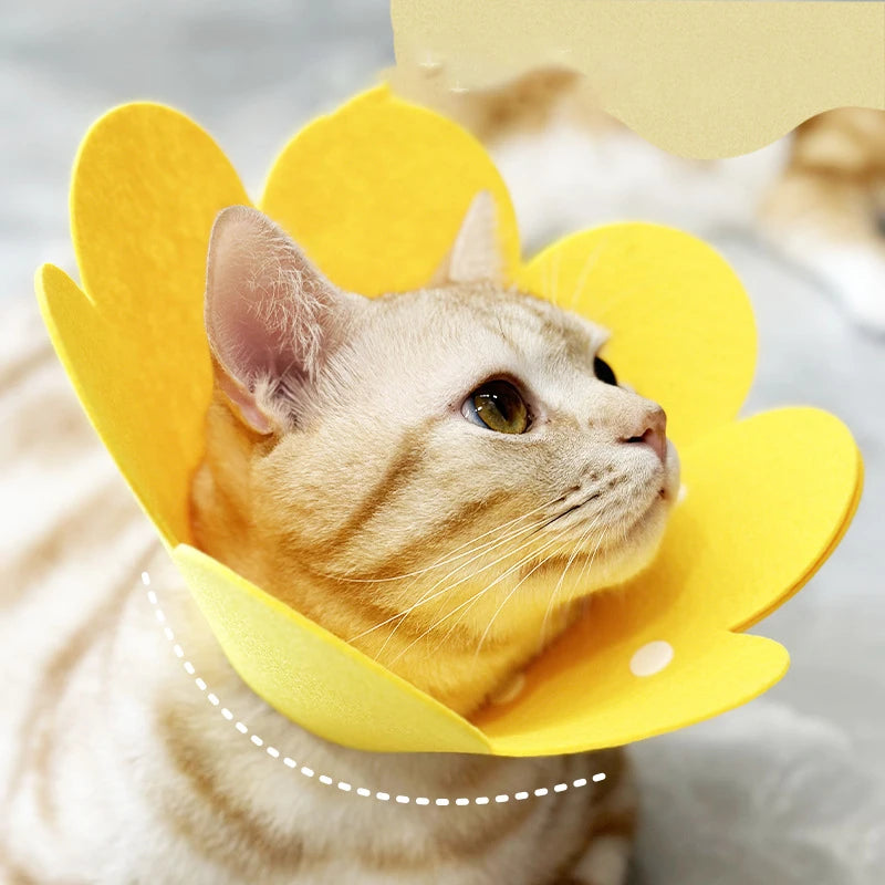 Soft Flower Recovery Cone Collar for Cats & Small Dogs