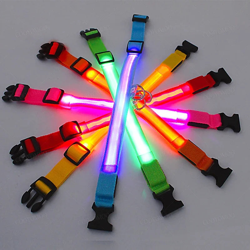 Rechargeable LED Dog Collar, 3 Light Modes, USB Charging