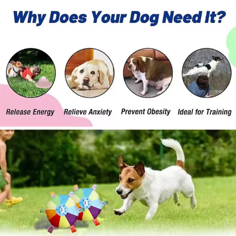 Dog Soccer Ball with Grab Tabs, 6.3 Inch