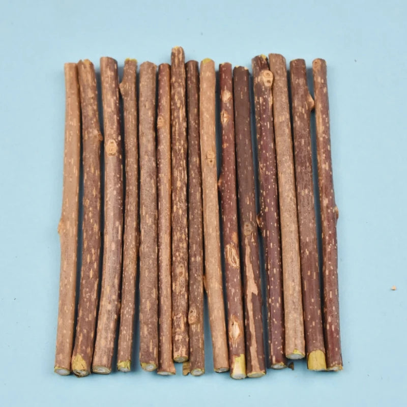 Natural Silvervine Sticks for Cats - Dental Chew & Catnip Teaser