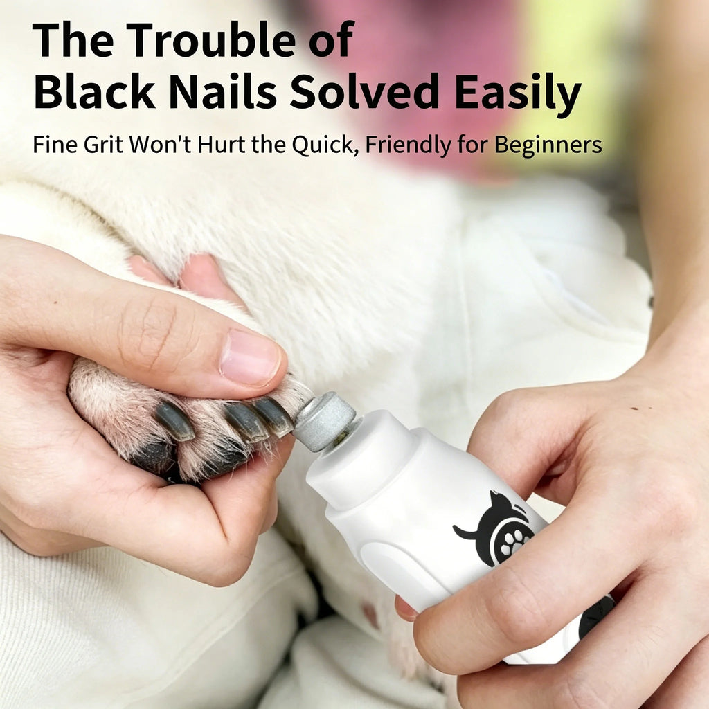 Electric Pet Nail Grinder with LCD Display & 3 Grinding Heads