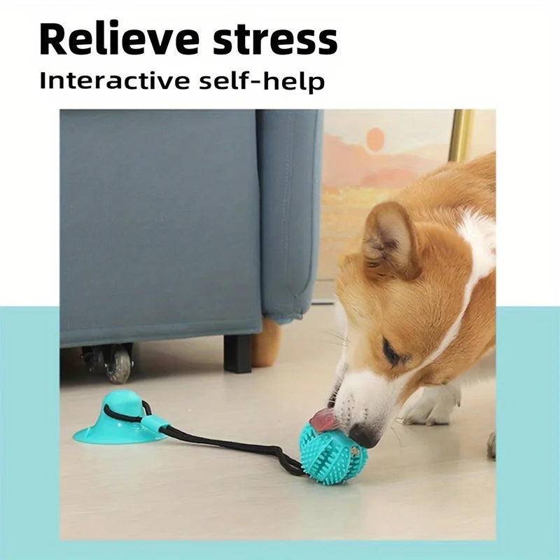 Suction Cup Dog Tug Toy with Treat Dispenser & Squeaker
