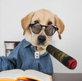 Funny Plush Cigar Dog Toy with Squeaker