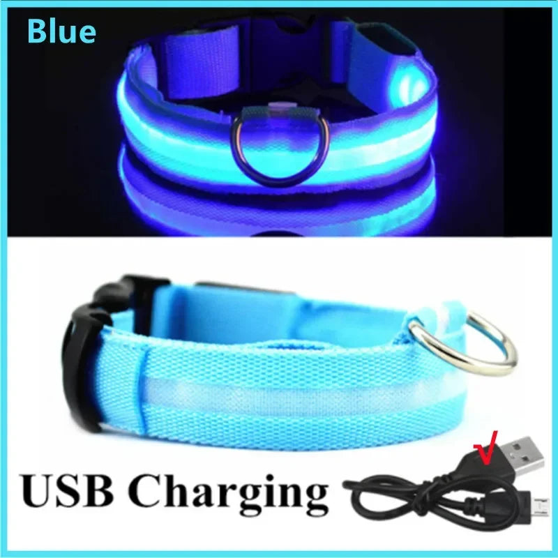 Rechargeable LED Dog Collar, 3 Light Modes, USB Charging